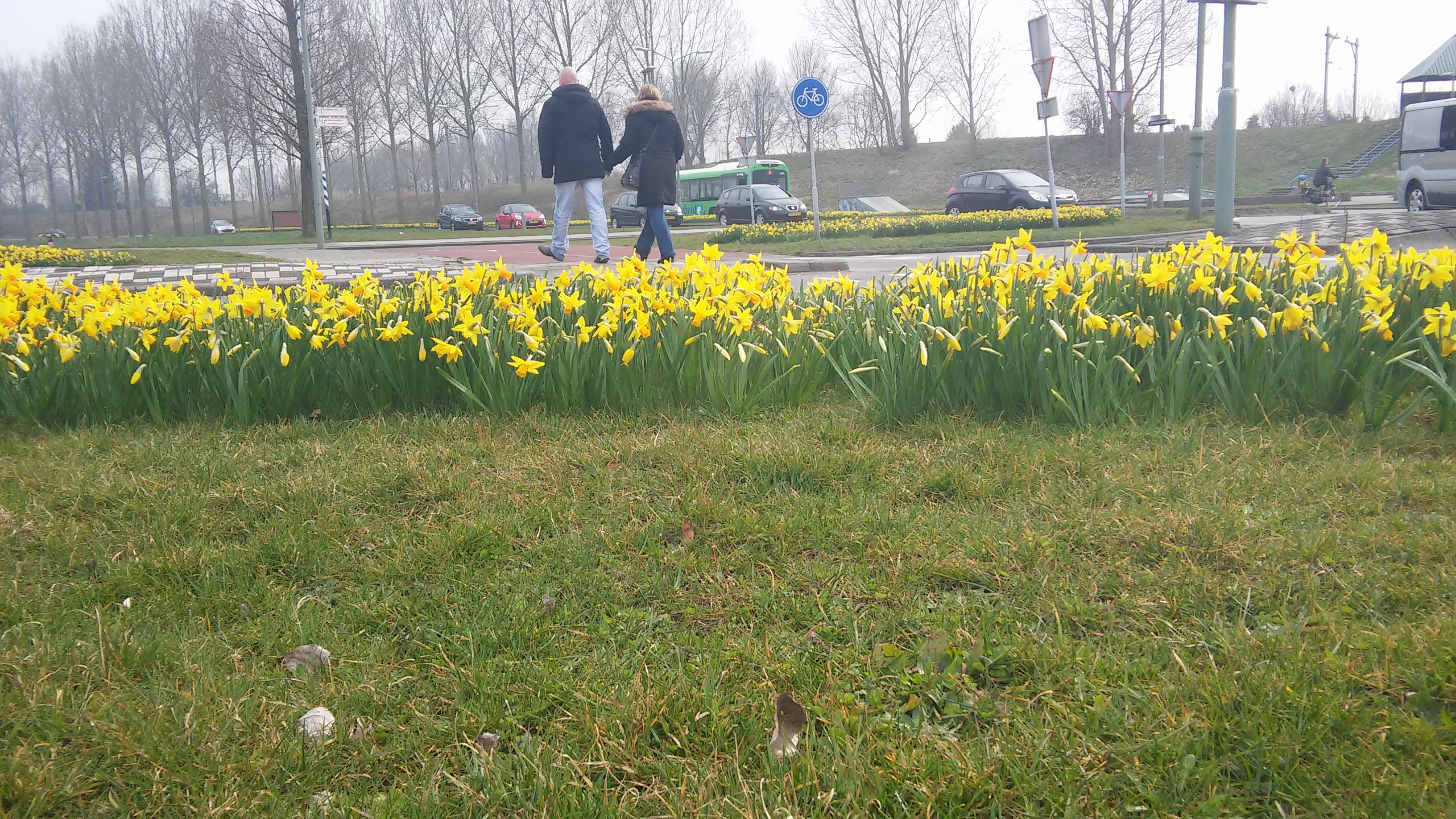 Groenezoom